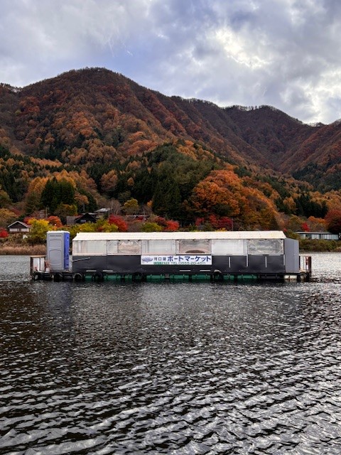 ドーム船外観紅葉
