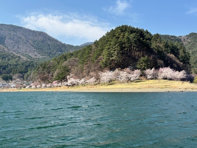 ラジコン岬
